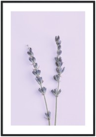 item preview