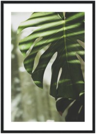 item preview