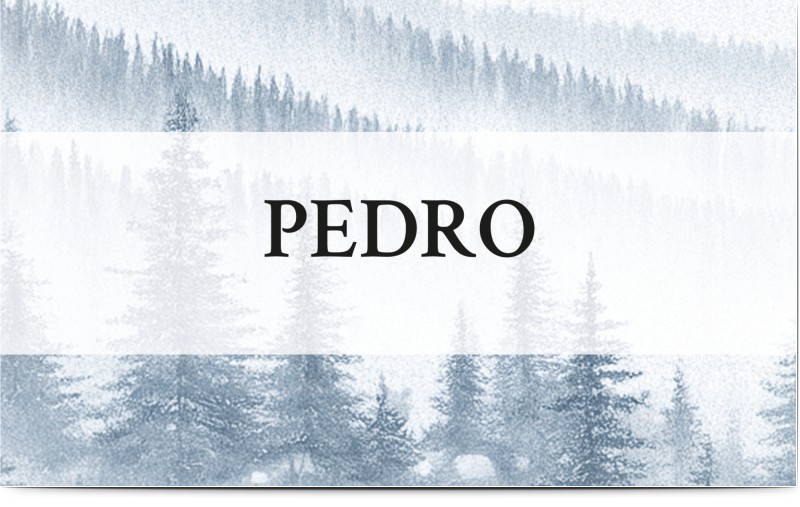 item preview