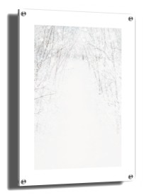 item preview