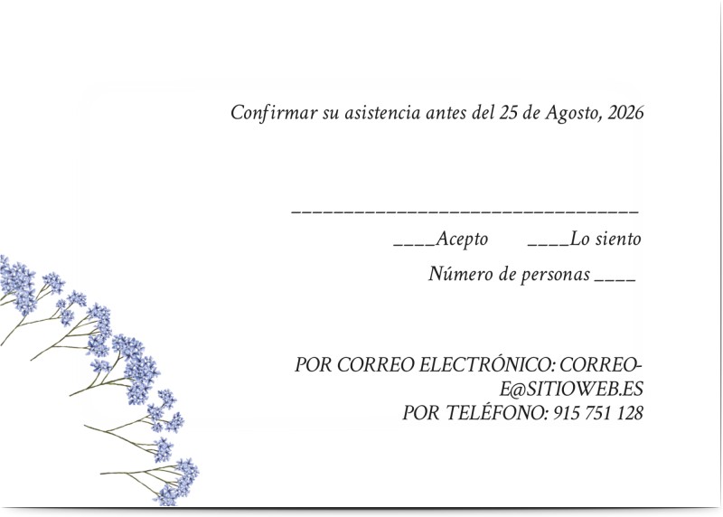 item preview