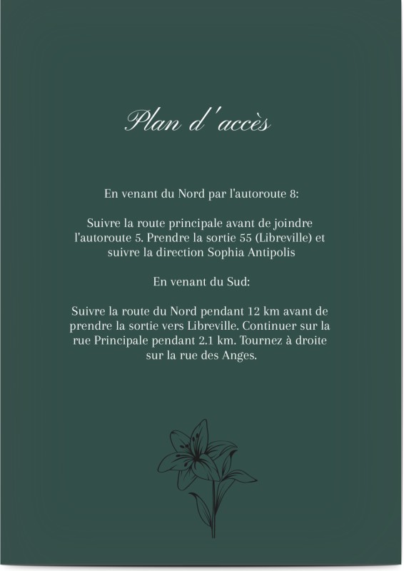 item preview