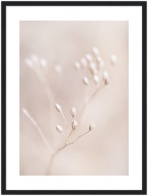 item preview