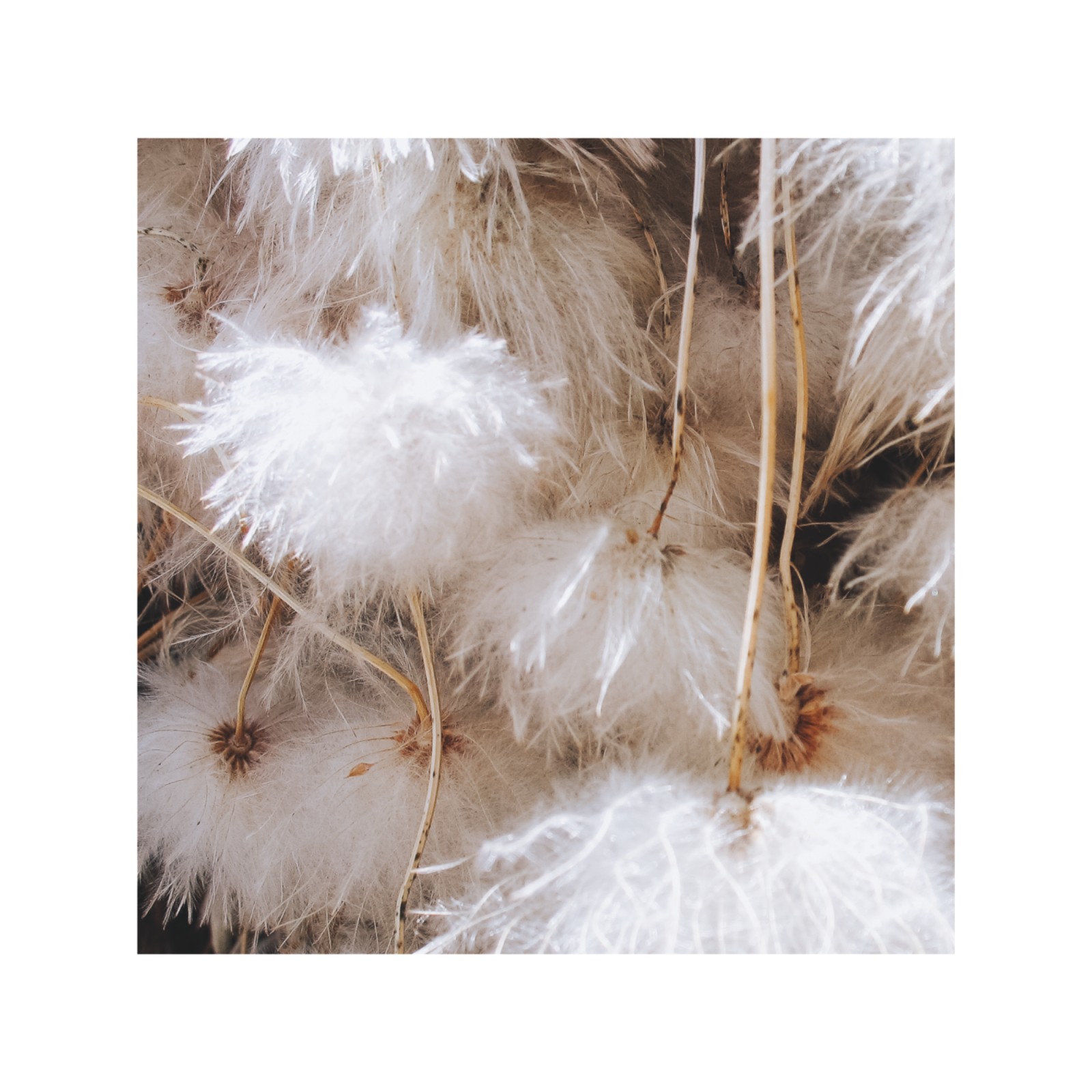 item preview