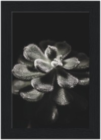 item preview