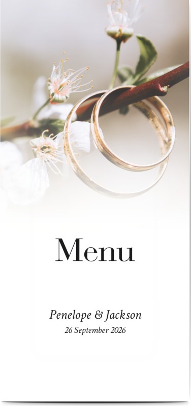 item preview