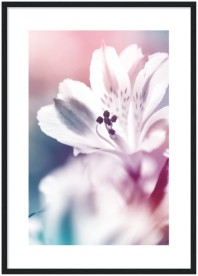 item preview