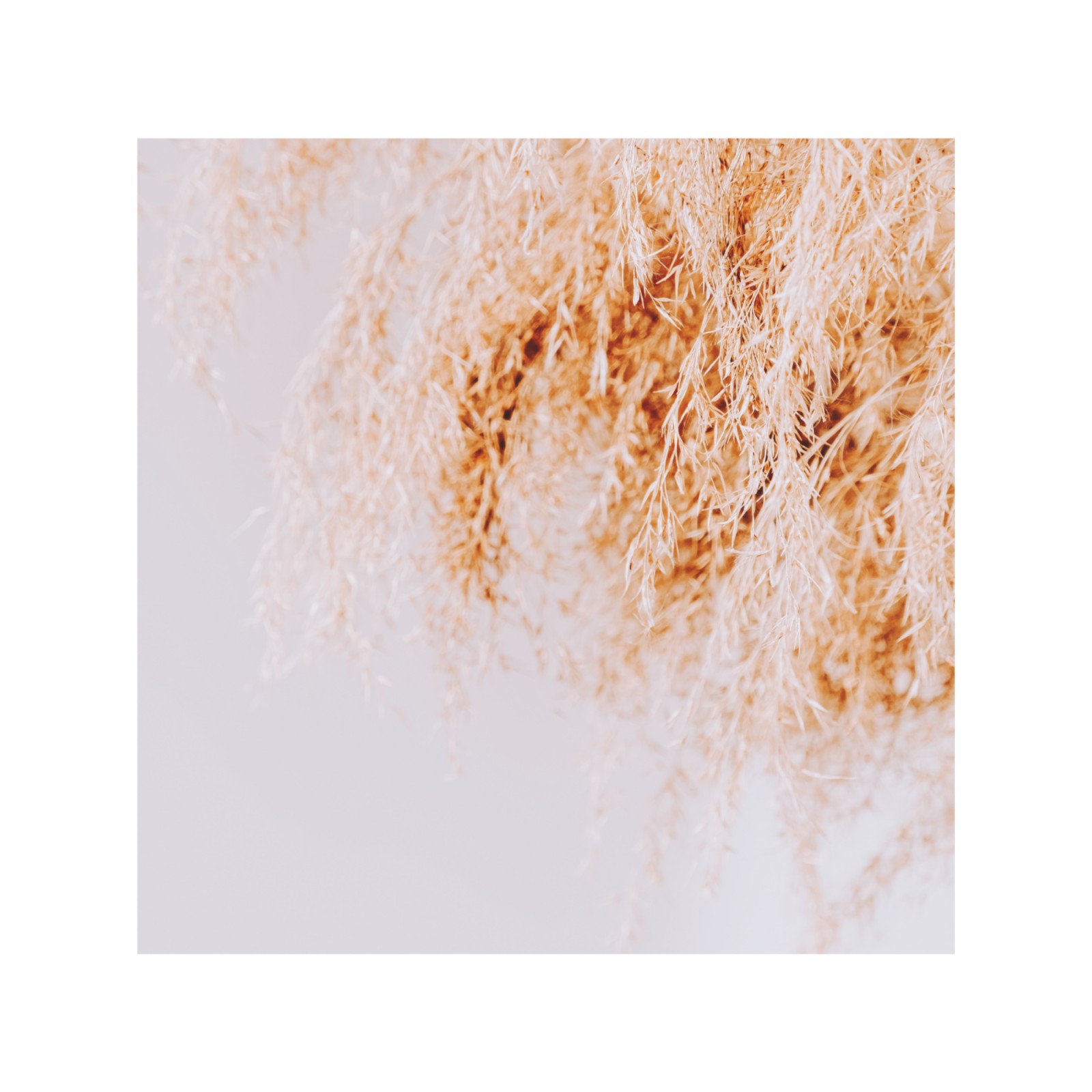 item preview