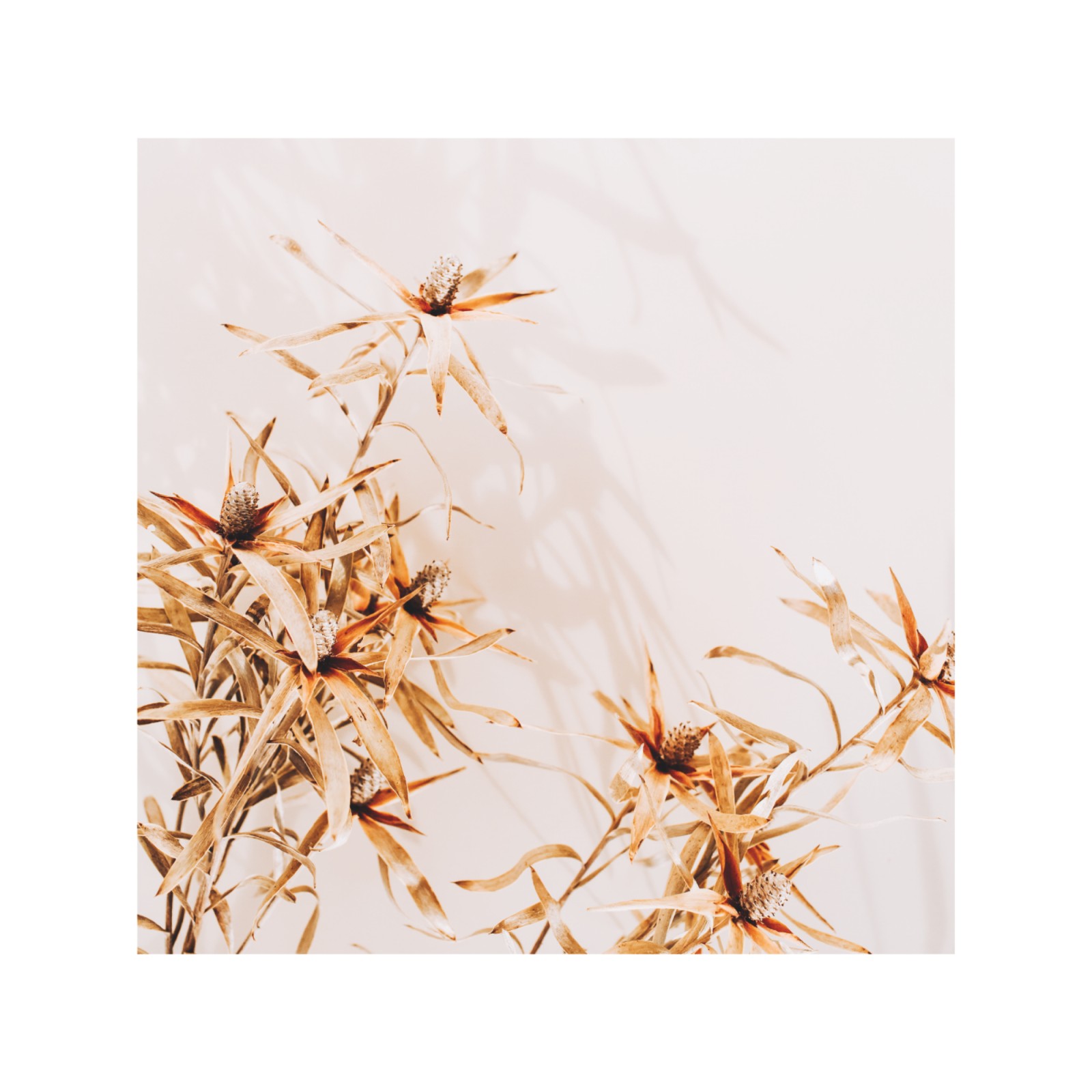 item preview