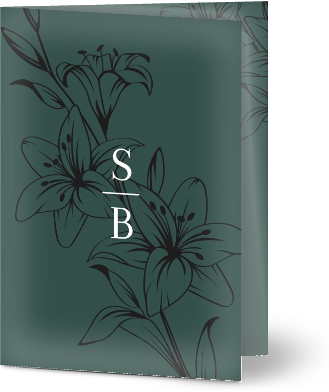 item preview