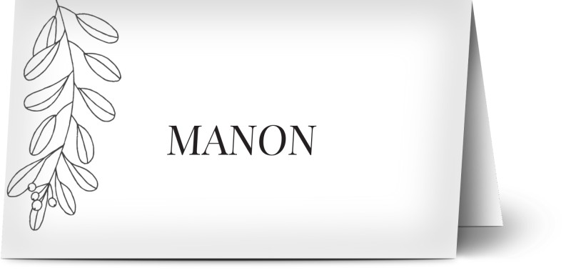 item preview