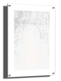 item preview