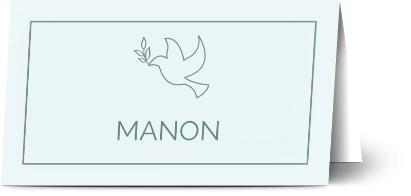item preview