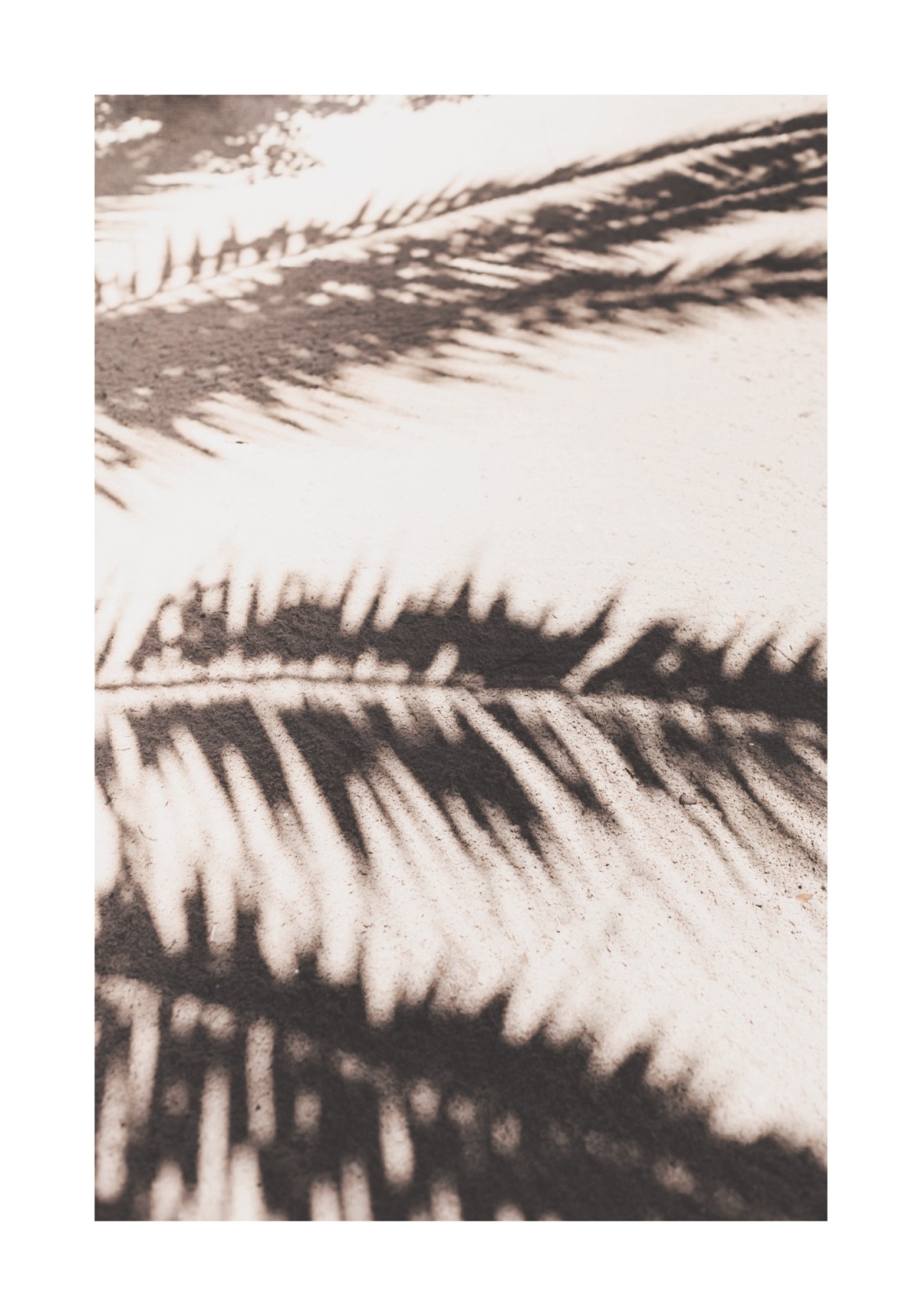 item preview