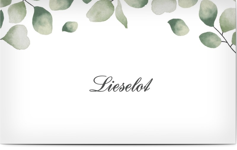 item preview