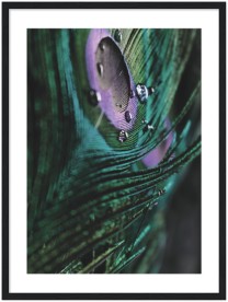 item preview