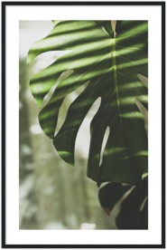 item preview