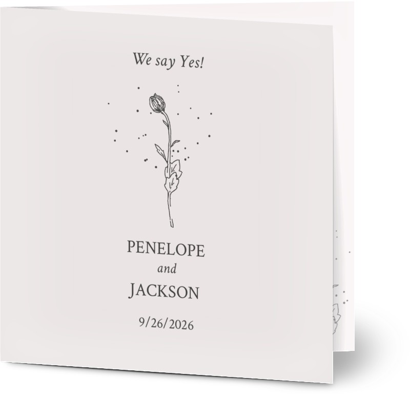 item preview