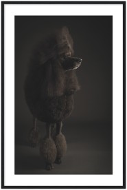 item preview