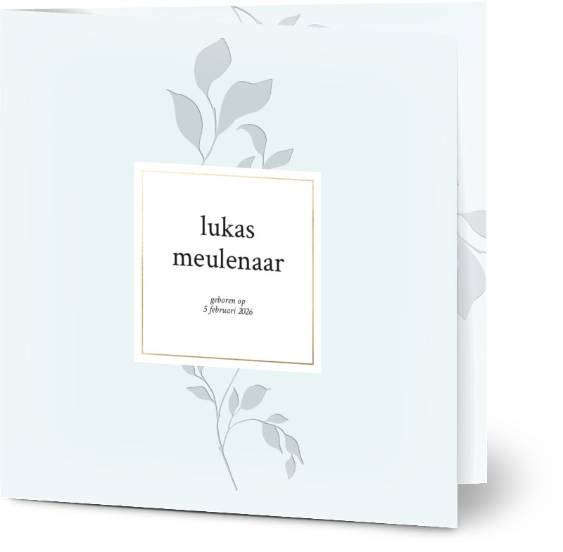 item preview