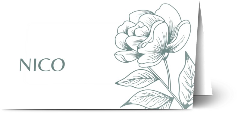 item preview