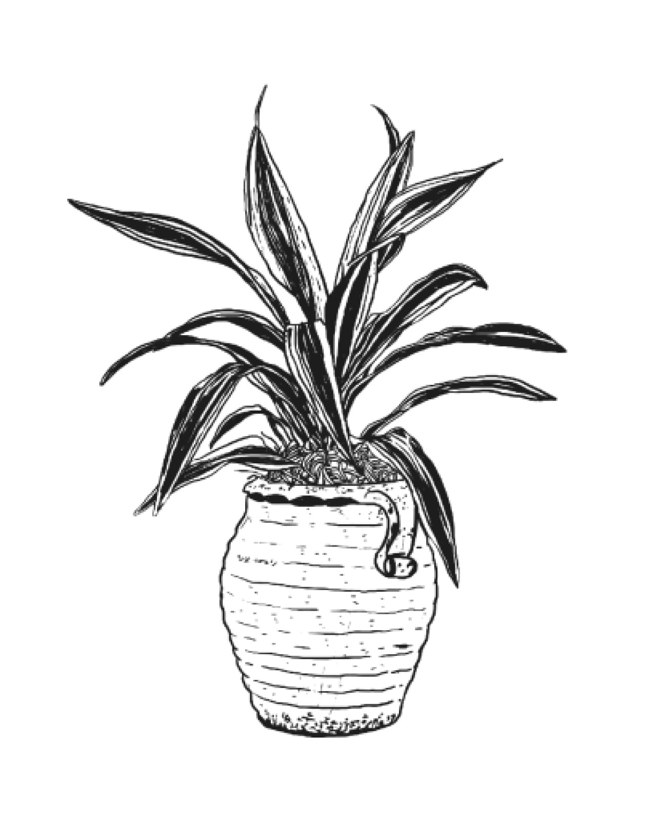 item preview