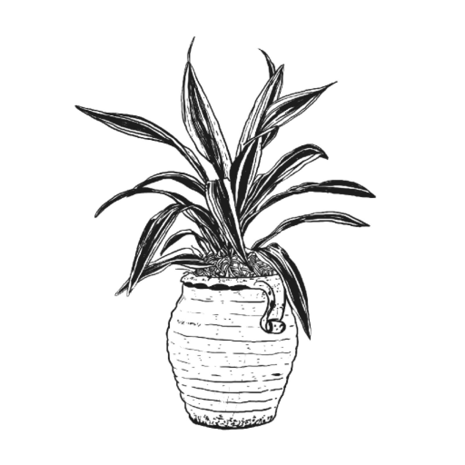 item preview