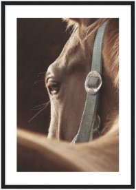 item preview