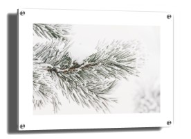 item preview