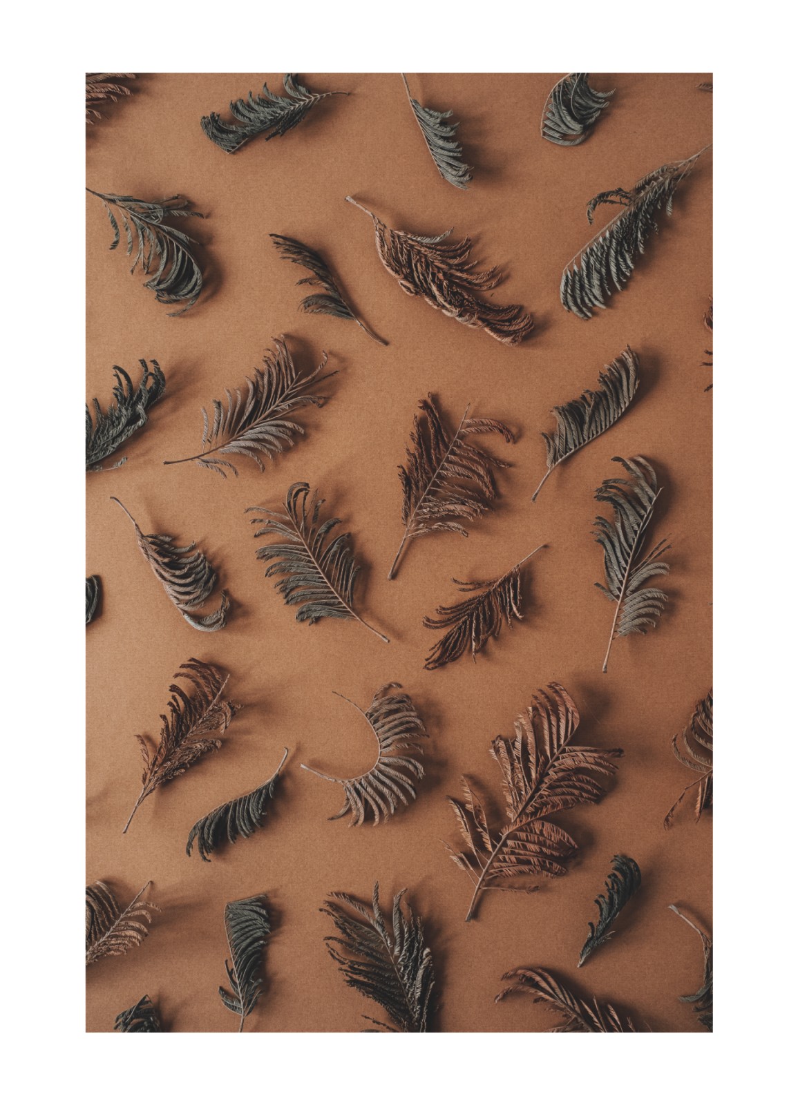 item preview