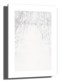 item preview