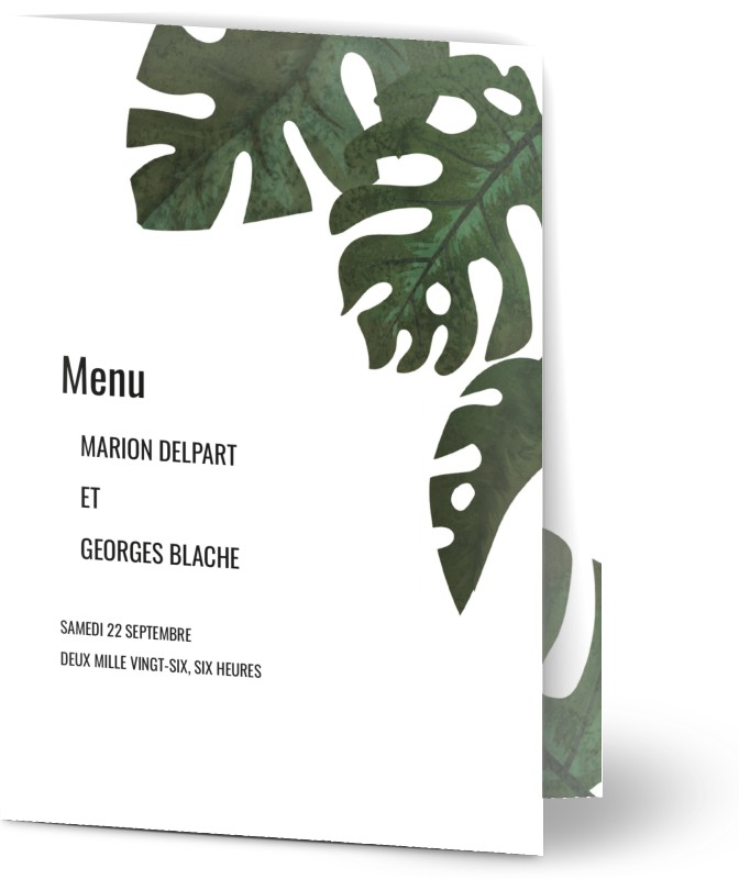item preview