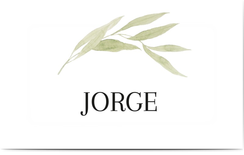 item preview