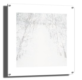 item preview