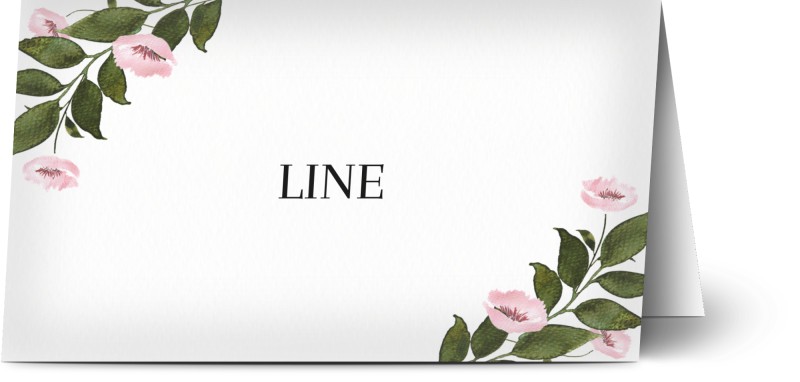 item preview