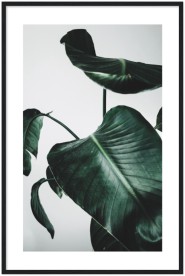 item preview