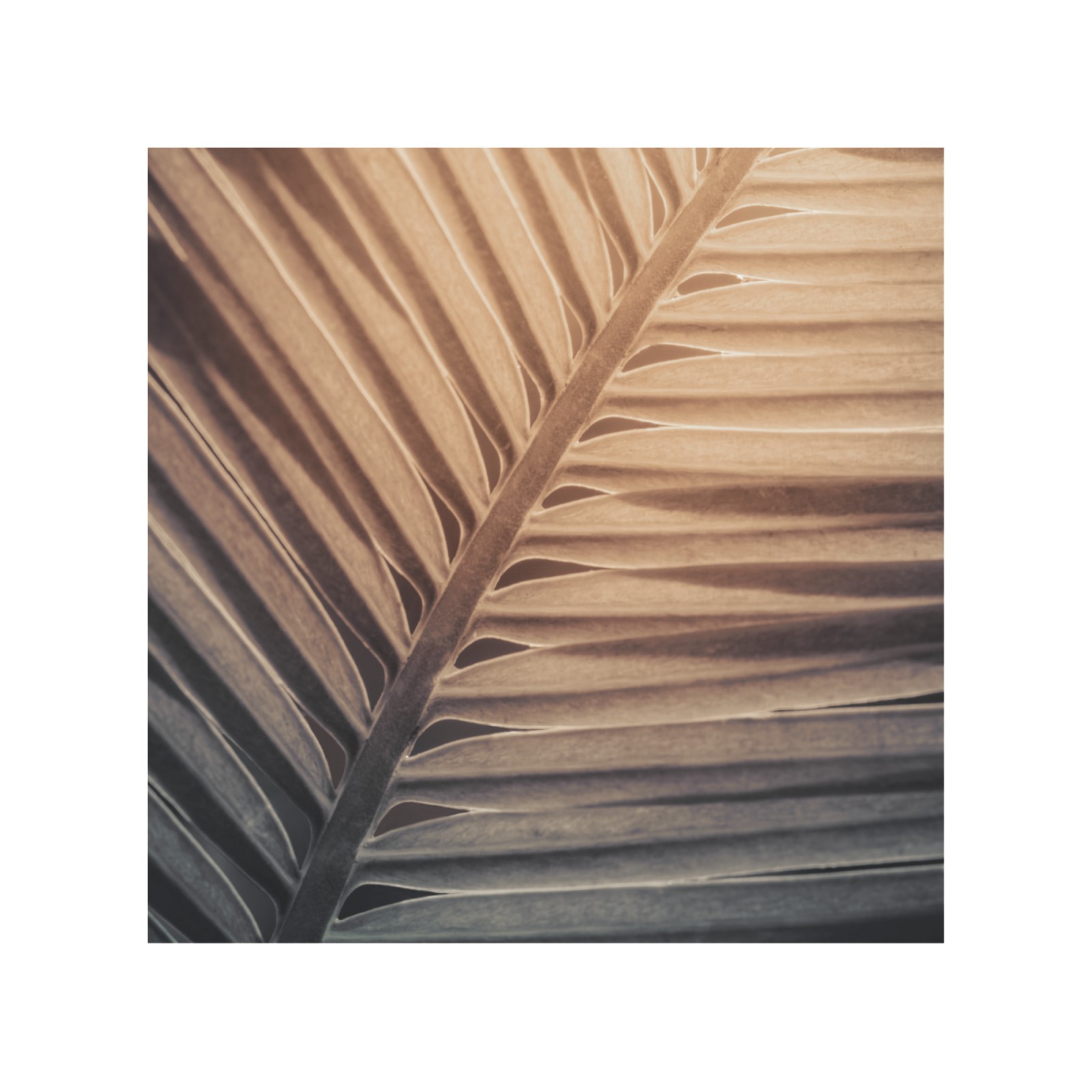 item preview
