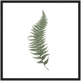 item preview