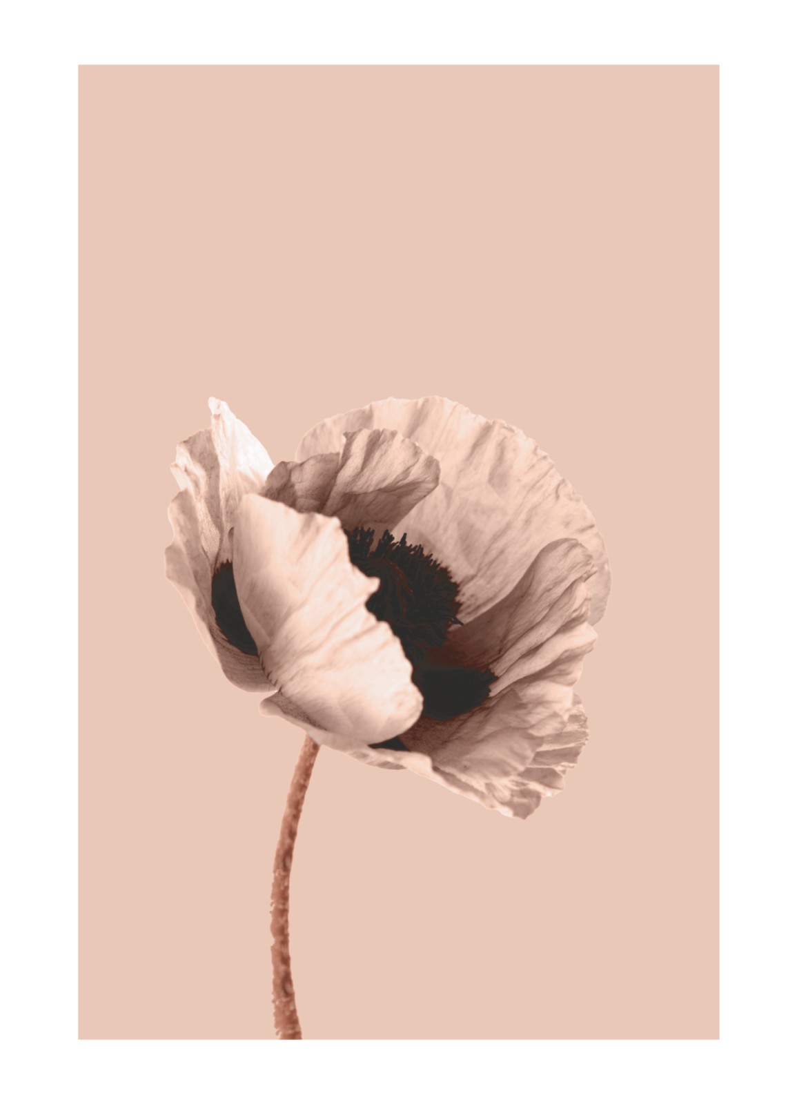 item preview