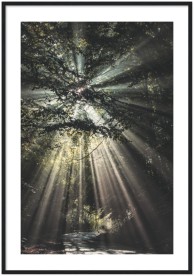 item preview