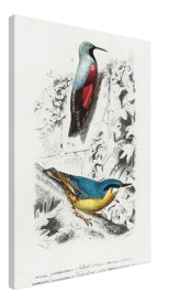 item preview