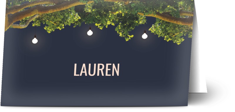 item preview