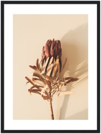 item preview