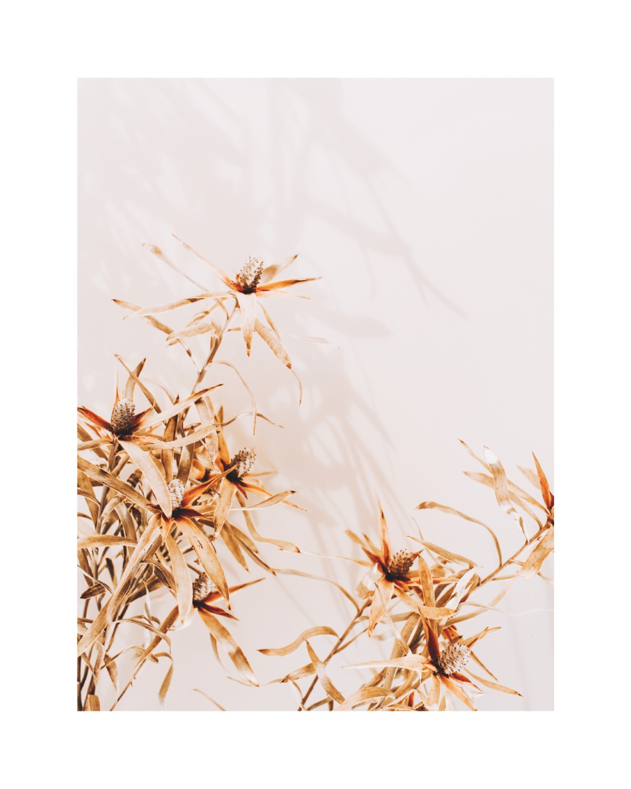 item preview