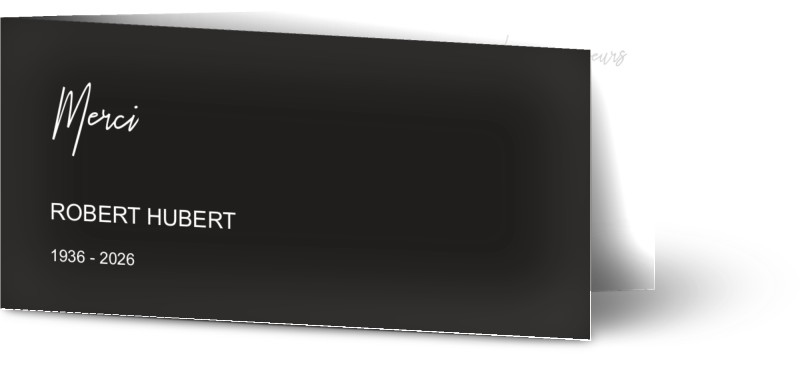 item preview