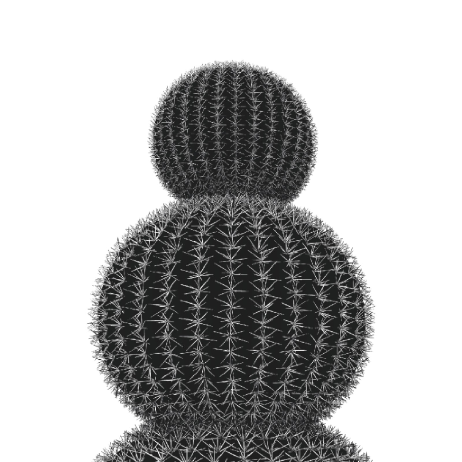 item preview