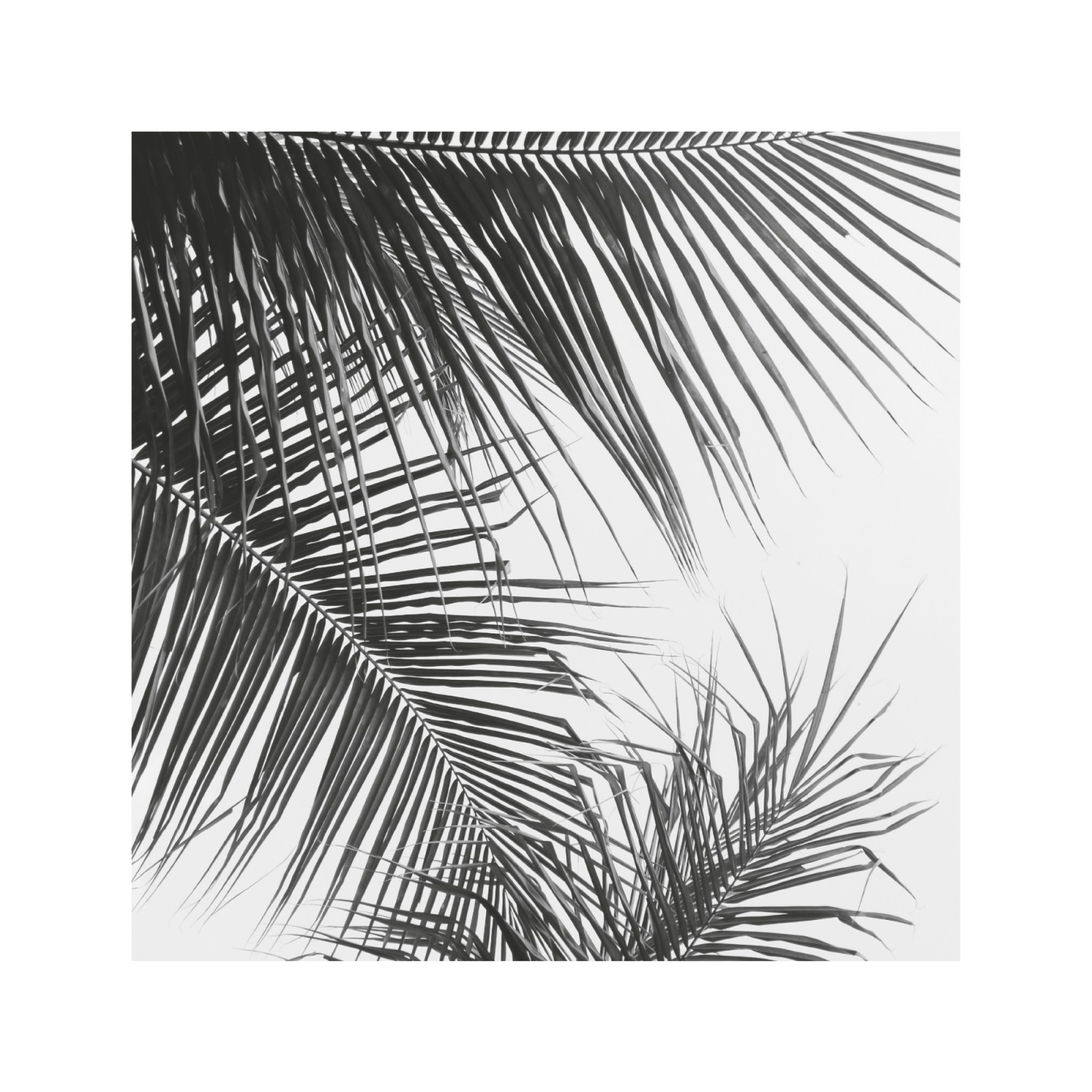 item preview
