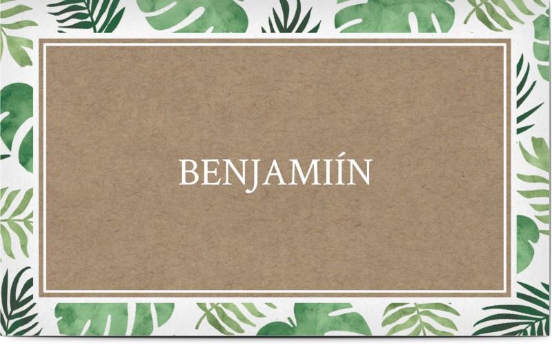 item preview