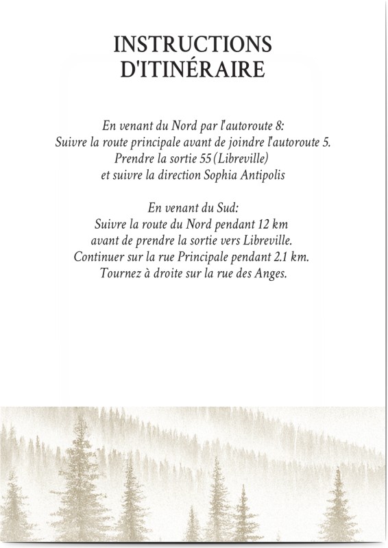 item preview