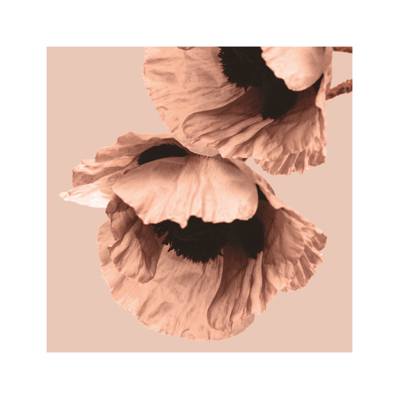 item preview